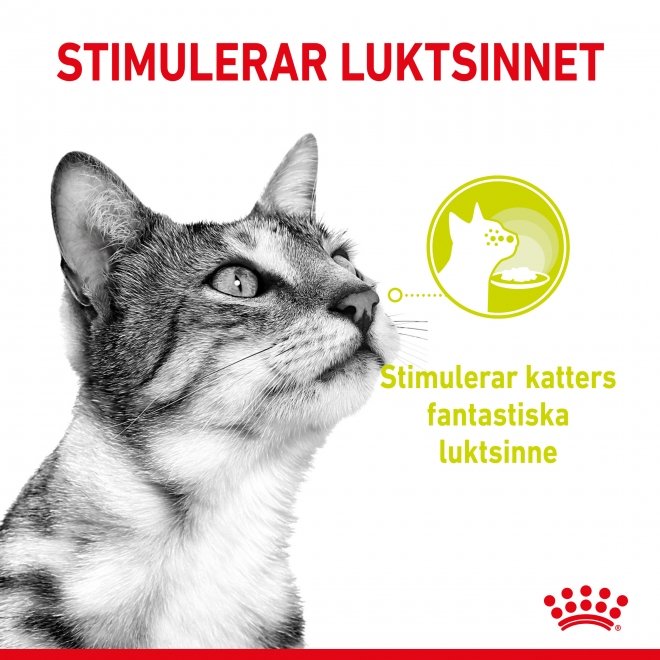 Royal Canin Sensory Smell 12x85 g