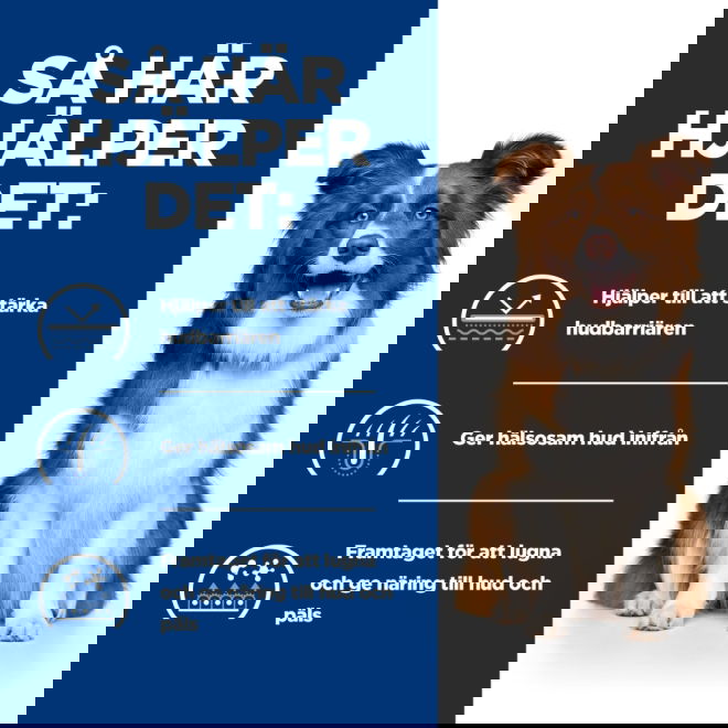 Hills Prescription Diet Canine Derm Defense Environmental Sensitivites Chicken