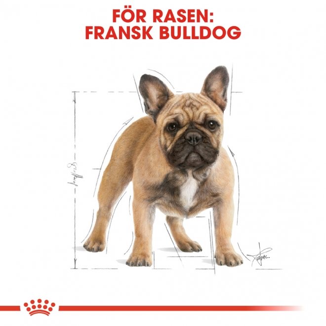 Royal Canin Breed Fransk Bulldog Adult