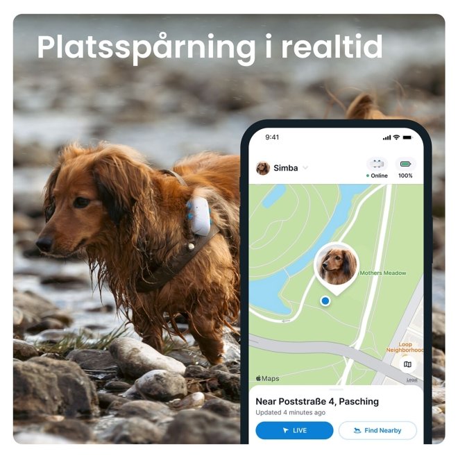 Tractive GPS Tracker till Hund