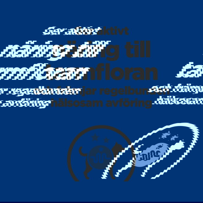 Hills Prescription Diet Canine Gastrointestinal Biome Mini Digestive/Fibre CareChicken