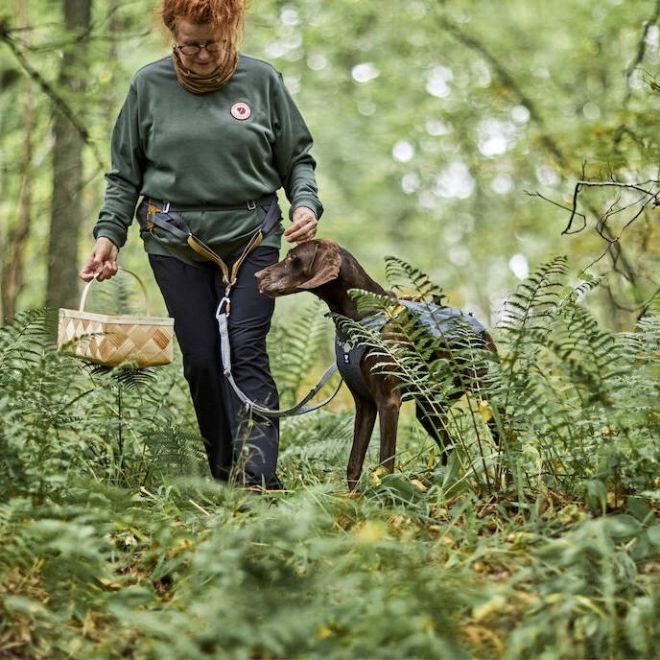 Hurtta Expedition ECO Hundförarbälte Grå