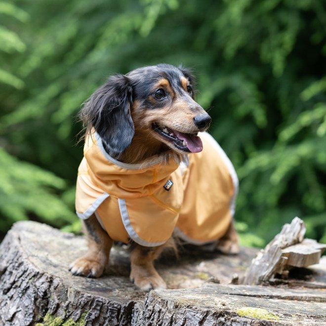 Rukka Crisp UV Kyltäcke Hund Aprikos