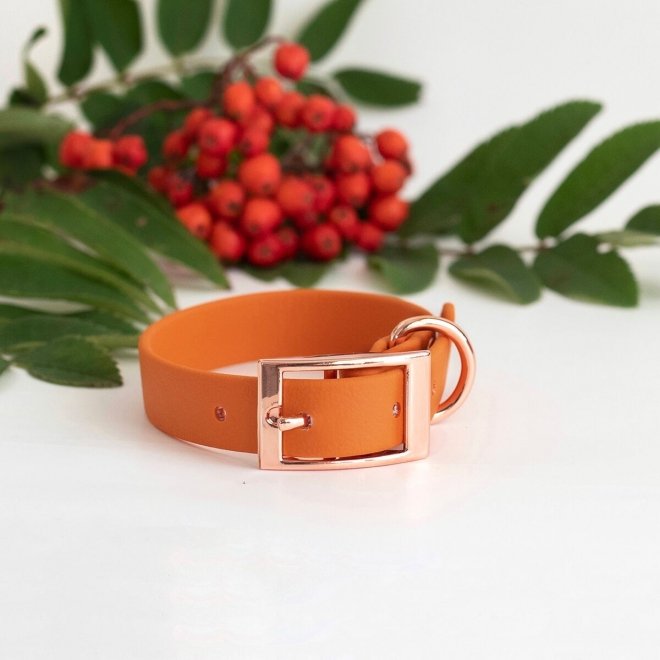 Tyylivoitto Classy Hundhalsband för Små Hundar Orange