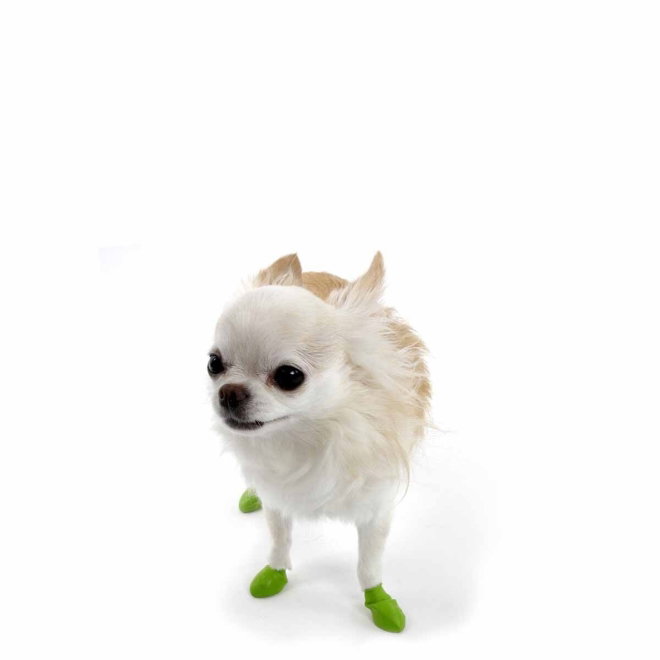 PawZ Vattent&auml;ta Hundskor i Gummi 12-pack (XXXS)