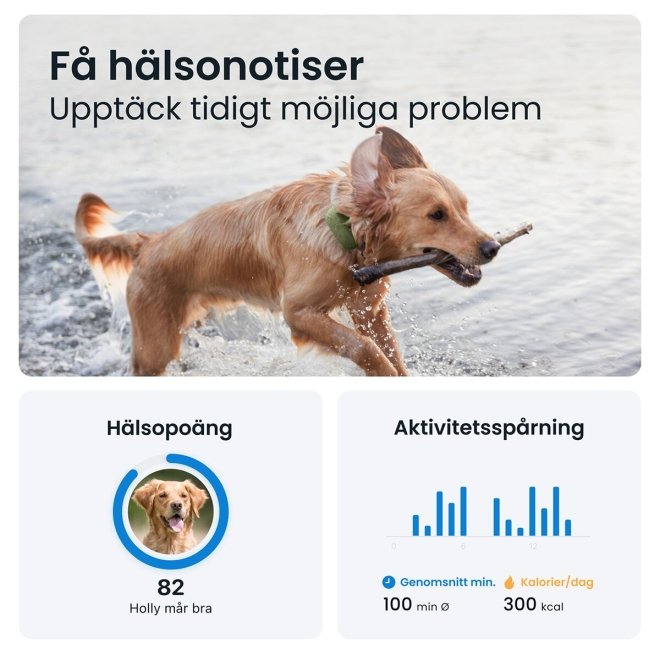 Tractive GPS Hund XL