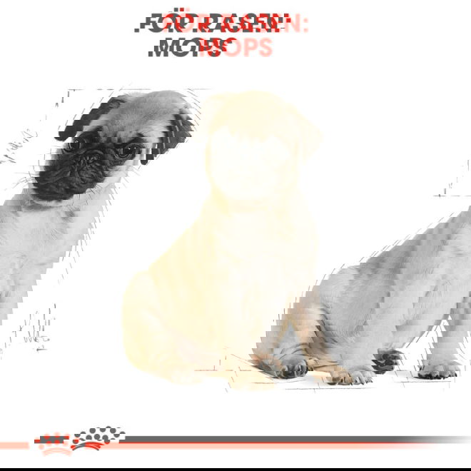 Royal Canin Breed Pug Puppy