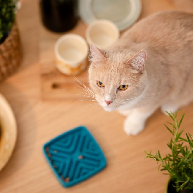 Basic Slow Down Kattskål i Melamin 12 cm Blå