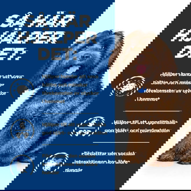 Hills Prescription Diet Canine b/d Ageing & Alertness Care Chicken