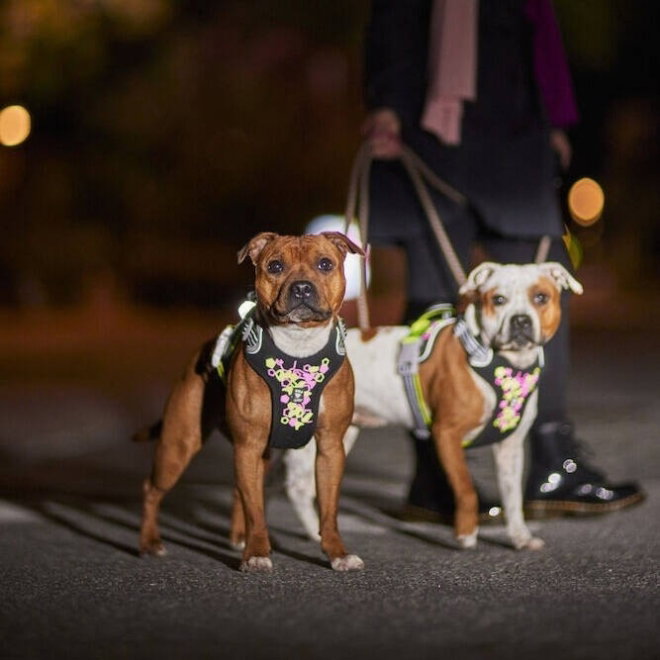 Hurtta Weekend Warrior Neon II Hundsele Svart