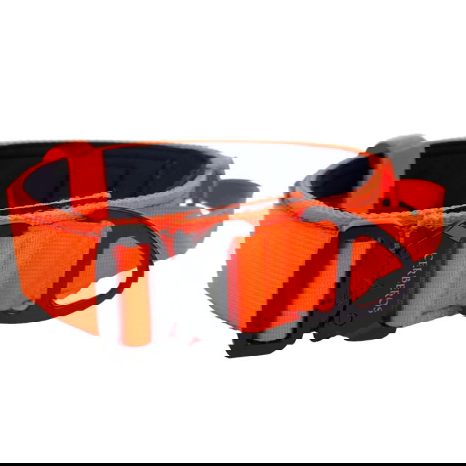 Cerberos Hundhalsband Reflekterande Orange