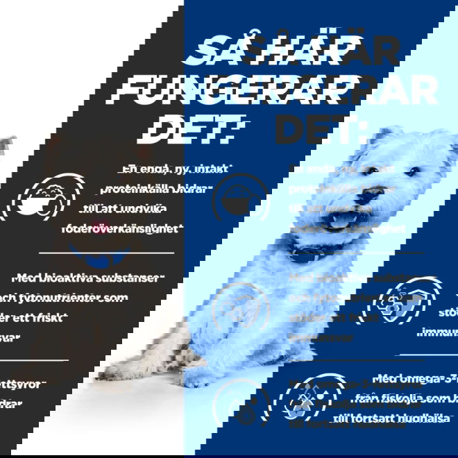 Hills Prescription Diet Canine Derm Complete Skin Care & Food Sensitivities Mini