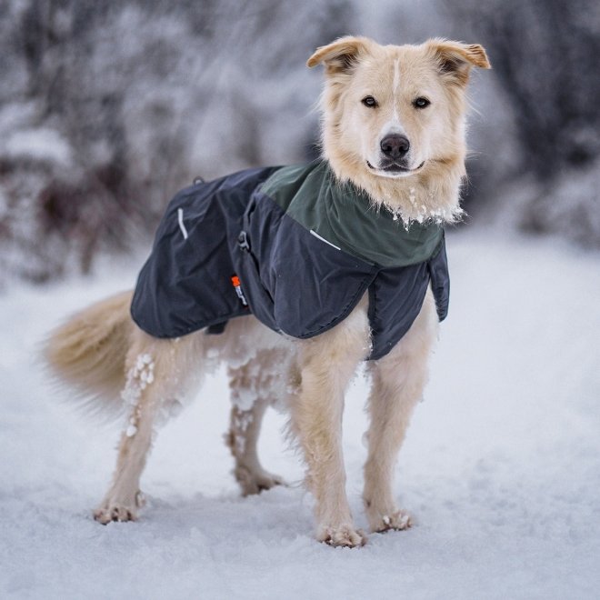 Non-Stop Dogwear Glacier 2.0 Vintertäcke i Ull Grön/Svart