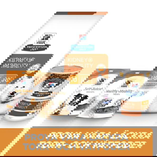 Hills Prescription Diet Canine k/d + Mobility Kidney + Joint Care Original