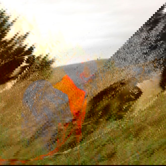 Non-stop Dogwear Protector Hundoverall f&ouml;r Hanhundar Svart & Orange