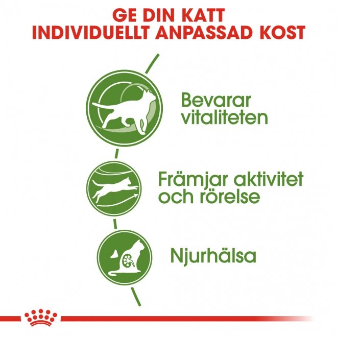 Royal Canin Outdoor 7+