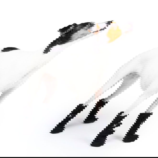 Basic Paws Fleece Hundskor Svart 4-pack