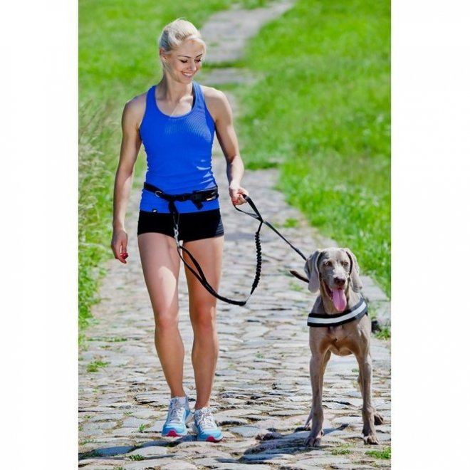 Pro Dog Joggingbälte med lina