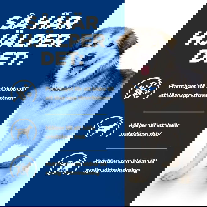 Hills Prescription Diet Canine c/d Urinary + Metabolic Multicare Weight Original 12 kg