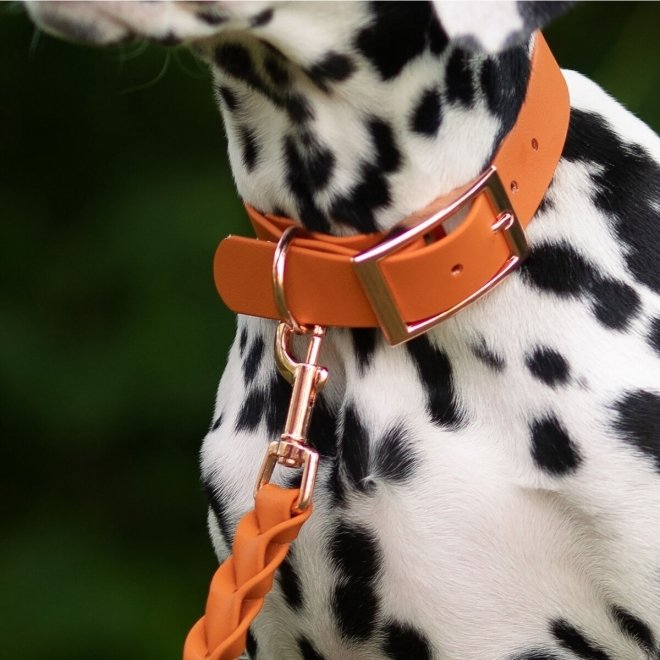 Tyylivoitto Classy Hundhalsband Orange