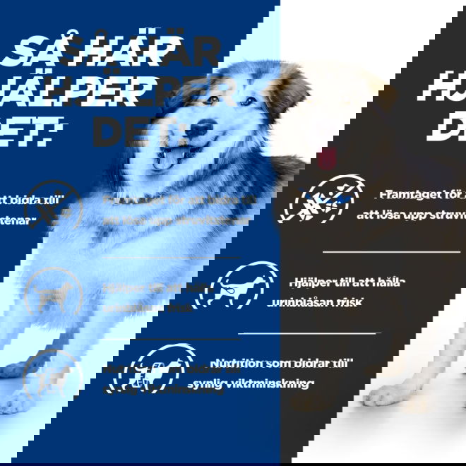 Hills Prescription Diet Canine c/d Urinary + Metabolic Weight Original