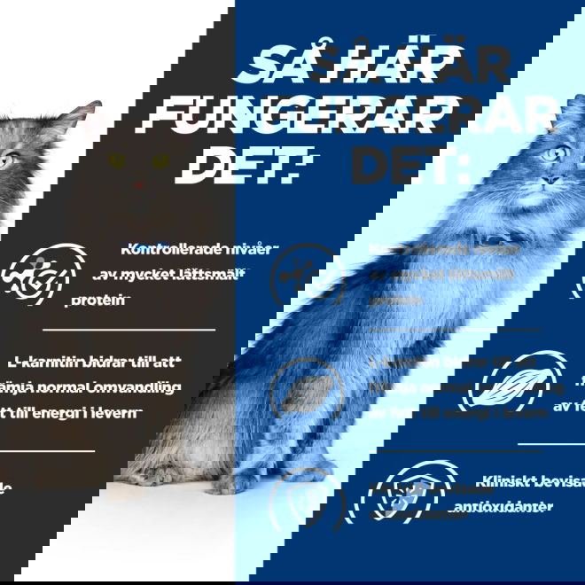 Hills Prescription Diet Feline l/d Liver Care Chicken 1,5 kg