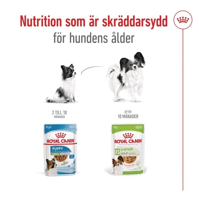 Royal Canin X-small Adult 12 x 85 g