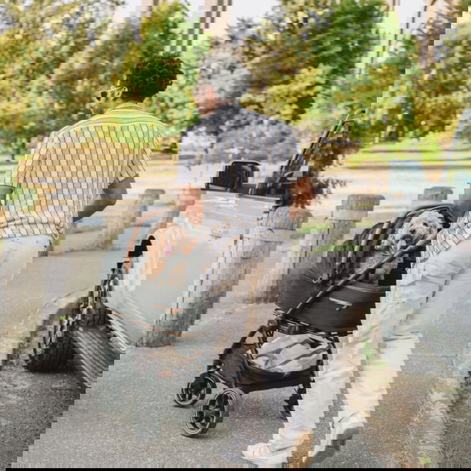 Tavo Roscoe Trek Ram f&ouml;r Vagn till Hund & Katt