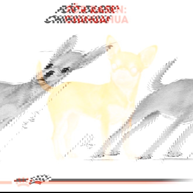 Royal Canin Breed Chihuahua Adult