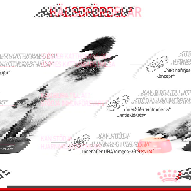 Royal Canin Mother & Babycat torrfoder för katt och kattunge