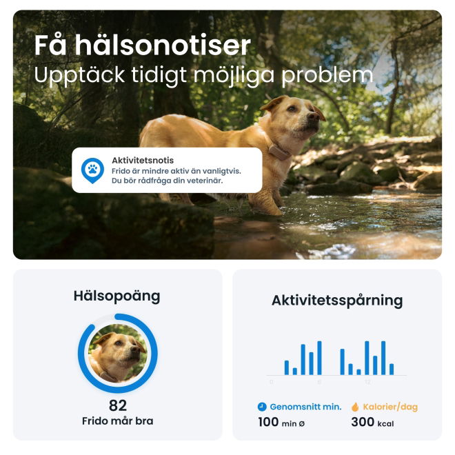 Tractive GPS & Health Tracker för Hund Brun