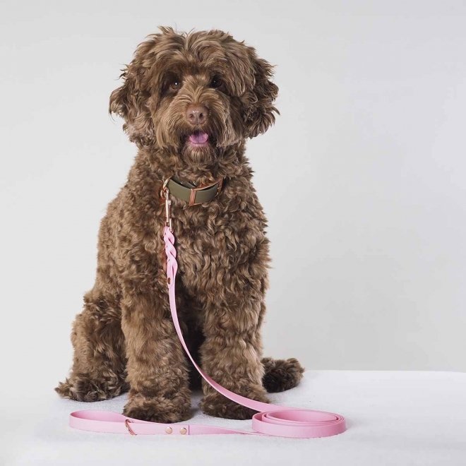 Tyylivoitto Hundkoppel Flätat Rosa 200 cm (16mm x 200cm)