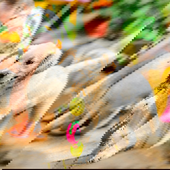 Little&Bigger Juicy Vibes Frukter p&aring; Rep 43 cm