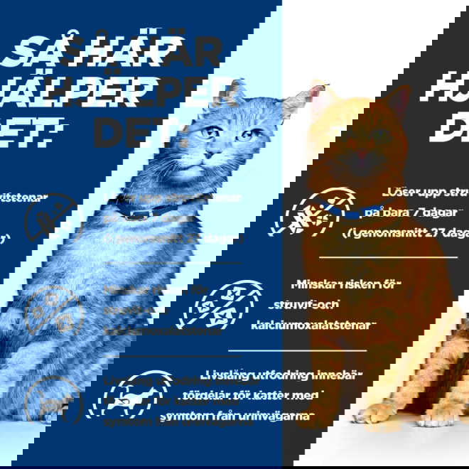 Hills Prescription Diet Feline c/d Urinary Care Chicken & Vegetables Stew 82 g