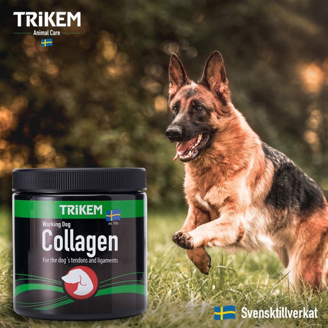 Trikem Working Dog Collagen 350 g