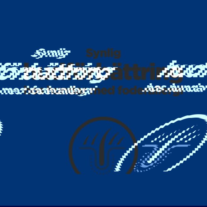 Hills Prescription Diet Canine Derm Complete Skin Care & Food Sensitivities Mini