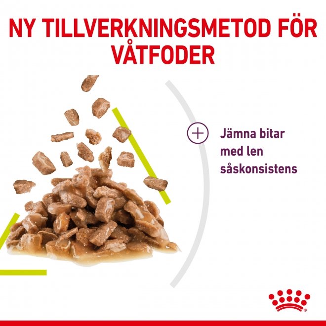 Royal Canin Sensory Smell 12x85 g