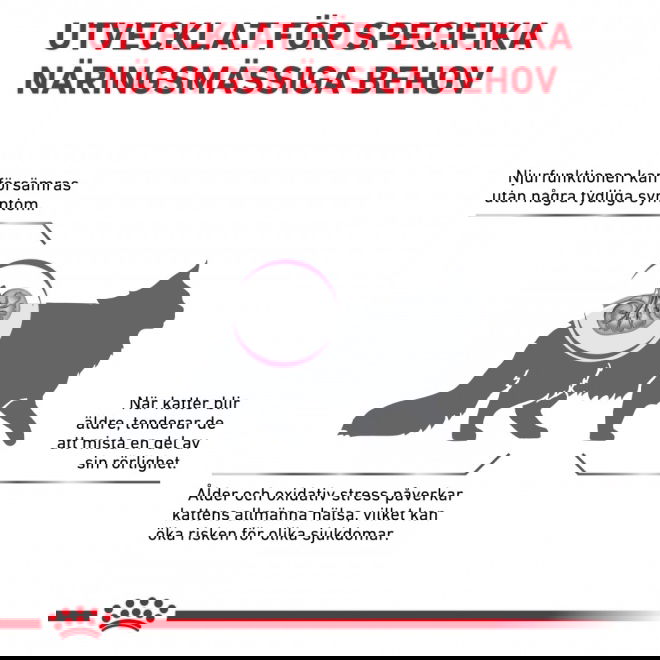 Royal Canin Veterinary Diets Cat Early Renal