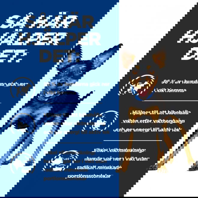 Hills Prescription Diet Canine Metabolic Chicken & Vegetables 156 g