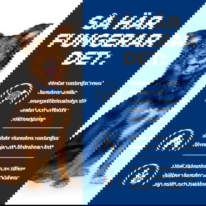 Hills Prescription Diet Canine Metabolic Weight Loss & Maintenace Lamb & Rice