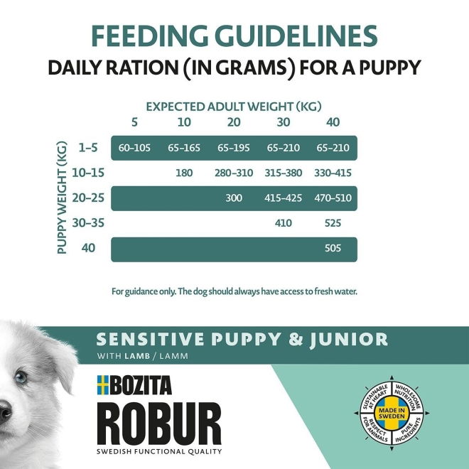 Bozita Robur Puppy & Junior Sensitive Lamm (12 kg)