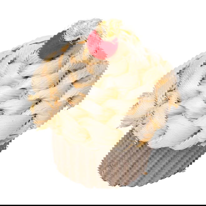 Quapas! Celebration Cupcake f&ouml;r Sm&aring;djur