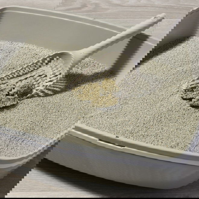 Smily Kattsand Original 10 kg