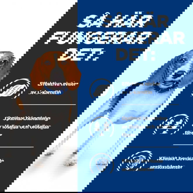 Hills Prescription Diet Canine r/d Weight Loss 350 g