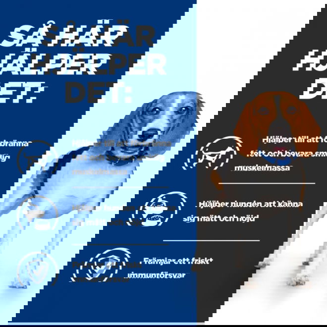 Hills Prescription Diet Canine r/d Weight Loss 350 g