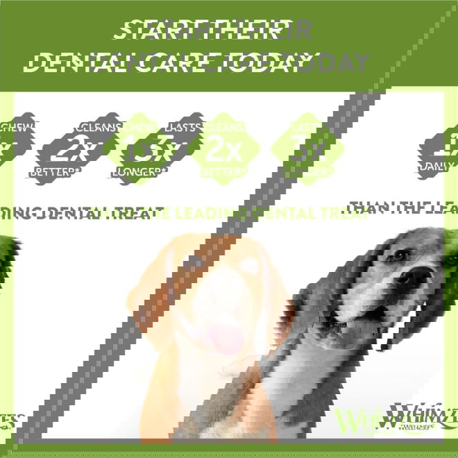 Whimzees Soft Dentaltugg (M)