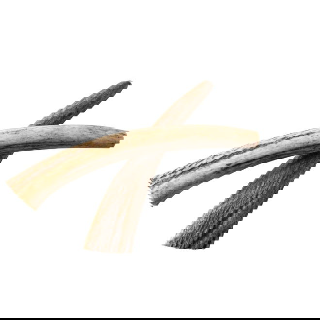 Nutriment Natural Antler Hjorthorn (S)