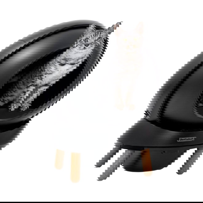 PetSafe SmartSpin Sj&auml;lvrensande Kattl&aring;da Svart