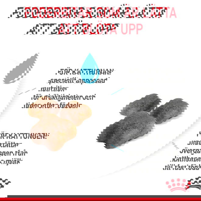 Royal Canin Mother & Babycat torrfoder för katt och kattunge