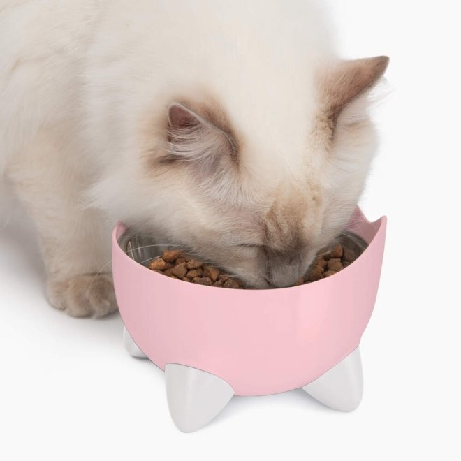 Catit Pixi Combo Kit Vattenfontän & Upphöjd Matskål Rosa
